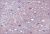 Плитка настенная Lila 249x364 фиолетовая TWU07LIL503