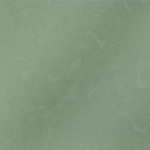 Керамогранит Амба (Amba) 600x600 CF007 PR полированный зеленый