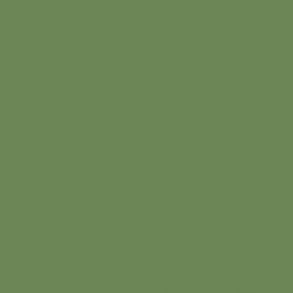 Керамогранит Feeria (Феерия) 600x600 зеленые водоросли GTF475
