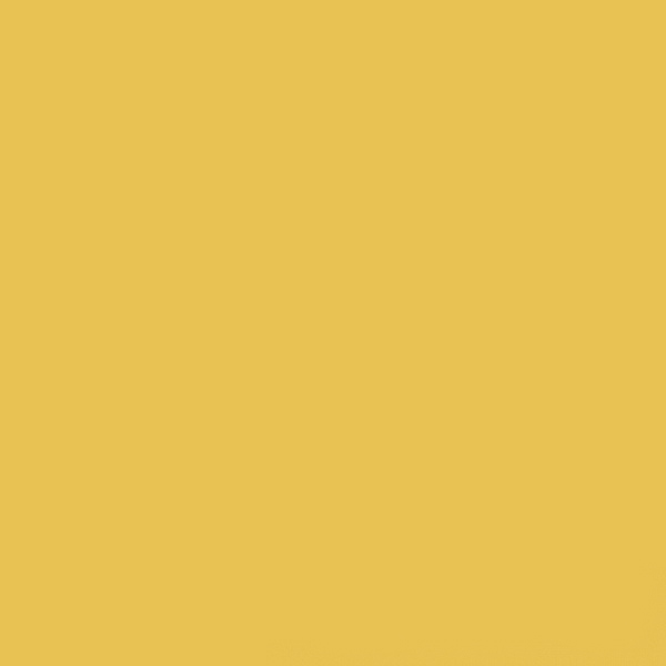 Керамогранит Feeria (Феерия) 600x600 желтый горицвет GTF463