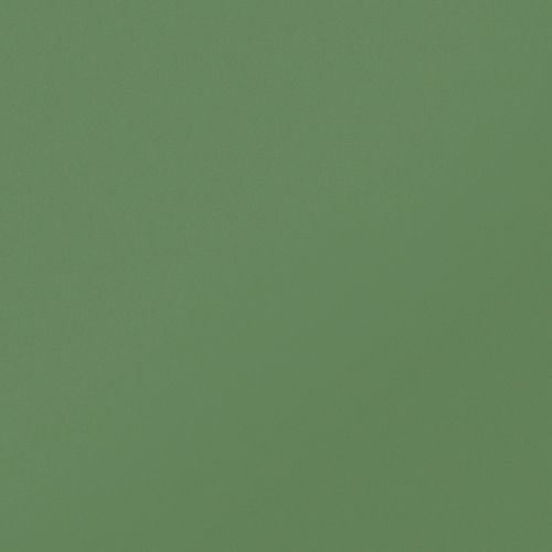 Керамогранит Моноколор (Monocolor) матовый CF UF007 MR 600x600 зеленый