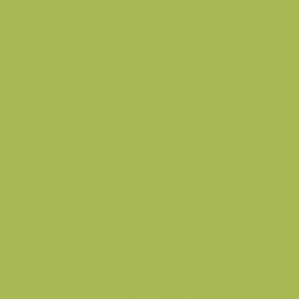 Керамогранит Feeria (Феерия) 600x600 зеленый делоне GTF477